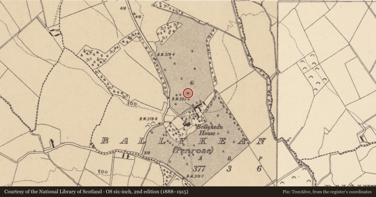 Ordnance Survey six-inch map, 2nd edition (1888–1915) covering the location of Rock art, Ballykean (Penrose), County Wicklow, with a pin at the register's coordinates