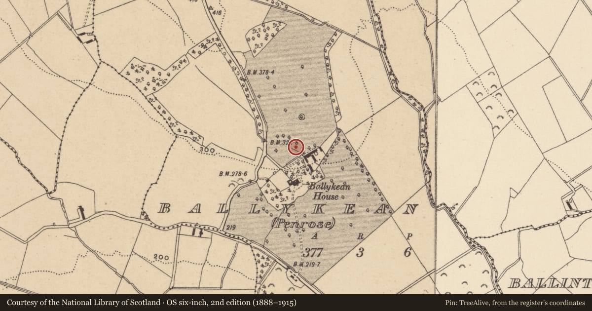 Ordnance Survey six-inch map, 2nd edition (1888–1915) covering the location of Rock art, Ballykean (Penrose), County Wicklow, with a pin at the register's coordinates
