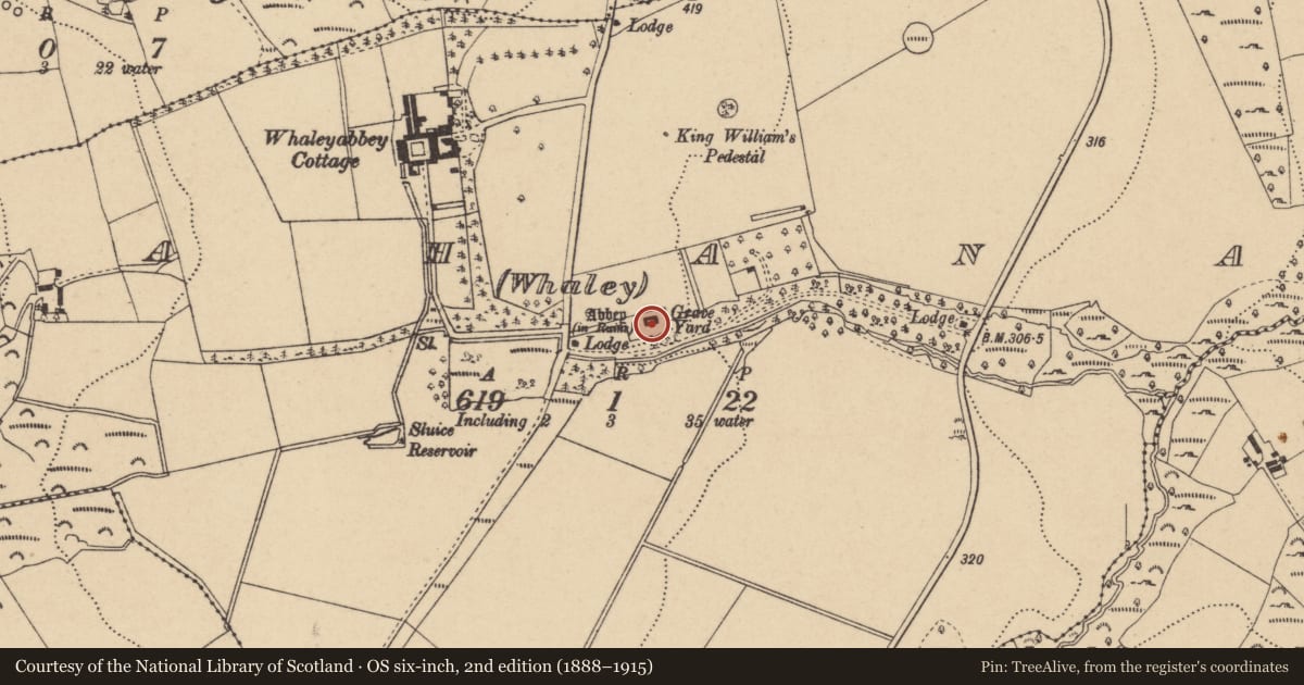 Ordnance Survey six-inch map, 2nd edition (1888–1915) covering the location of Graveyard, Bahana (Whaley), County Wicklow, with a pin at the register's coordinates