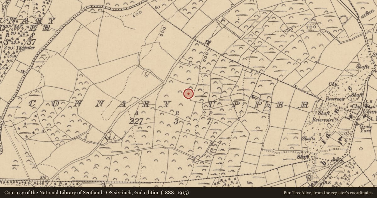 Ordnance Survey six-inch map, 2nd edition (1888–1915) covering the location of Enclosure, Connary Upper, County Wicklow, with a pin at the register's coordinates