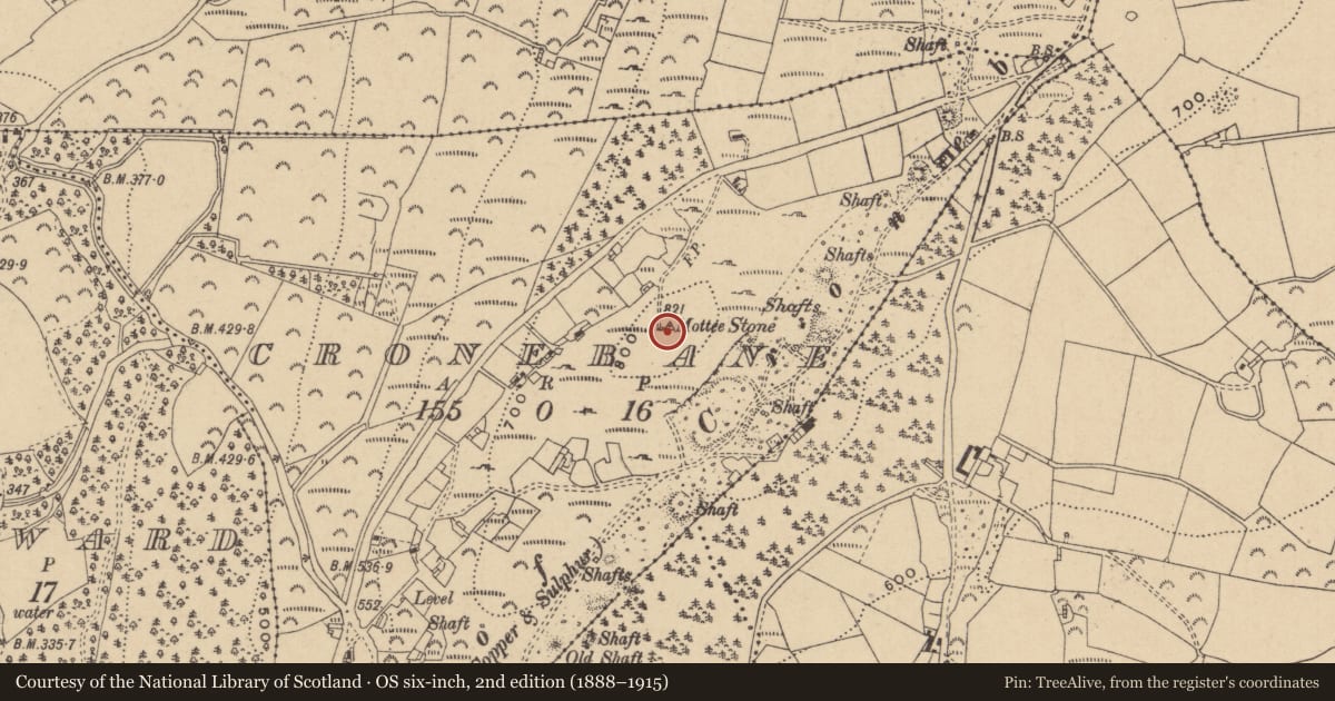 Ordnance Survey six-inch map, 2nd edition (1888–1915) covering the location of Standing stone, Cronebane, County Wicklow, with a pin at the register's coordinates