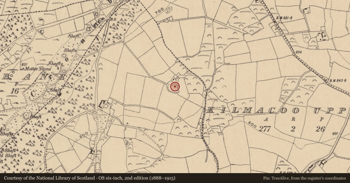 Ordnance Survey six-inch map, 2nd edition (1888–1915) covering the location of Enclosure, Tigroney East, County Wicklow, with a pin at the register's coordinates