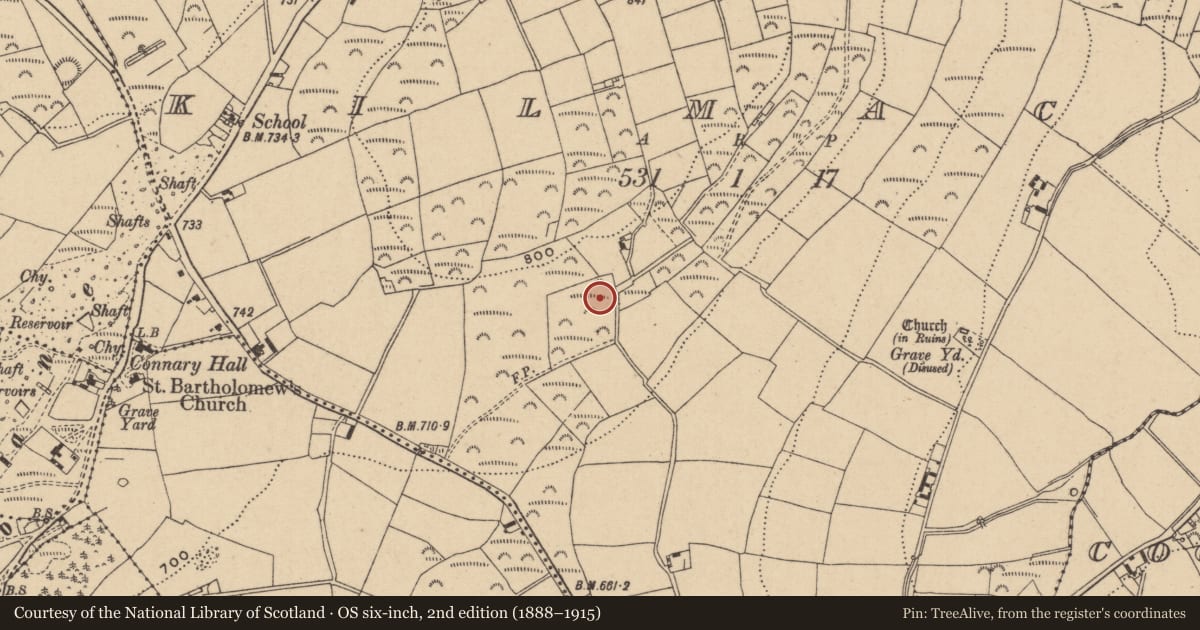 Ordnance Survey six-inch map, 2nd edition (1888–1915) covering the location of Ringfort - rath, Kilmacoo, County Wicklow, with a pin at the register's coordinates
