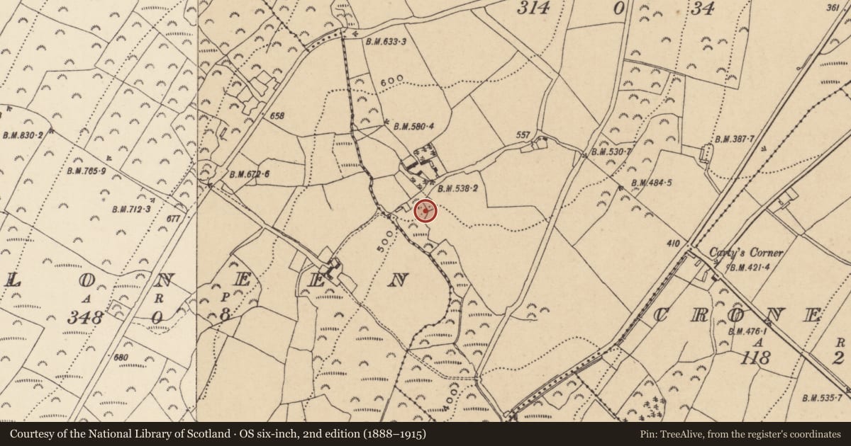 Ordnance Survey six-inch map, 2nd edition (1888–1915) covering the location of Rock art, Mongnacool Lower, County Wicklow, with a pin at the register's coordinates