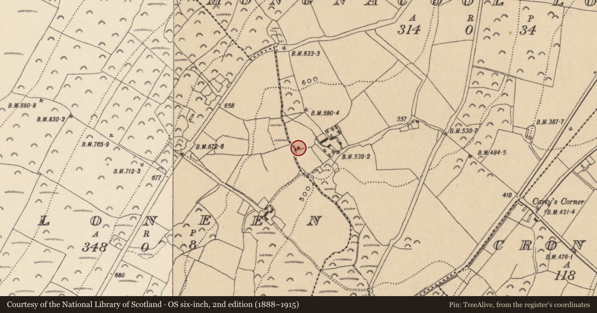 Ordnance Survey six-inch map, 2nd edition (1888–1915) covering the location of Rock art, Mongnacool Lower, County Wicklow, with a pin at the register's coordinates