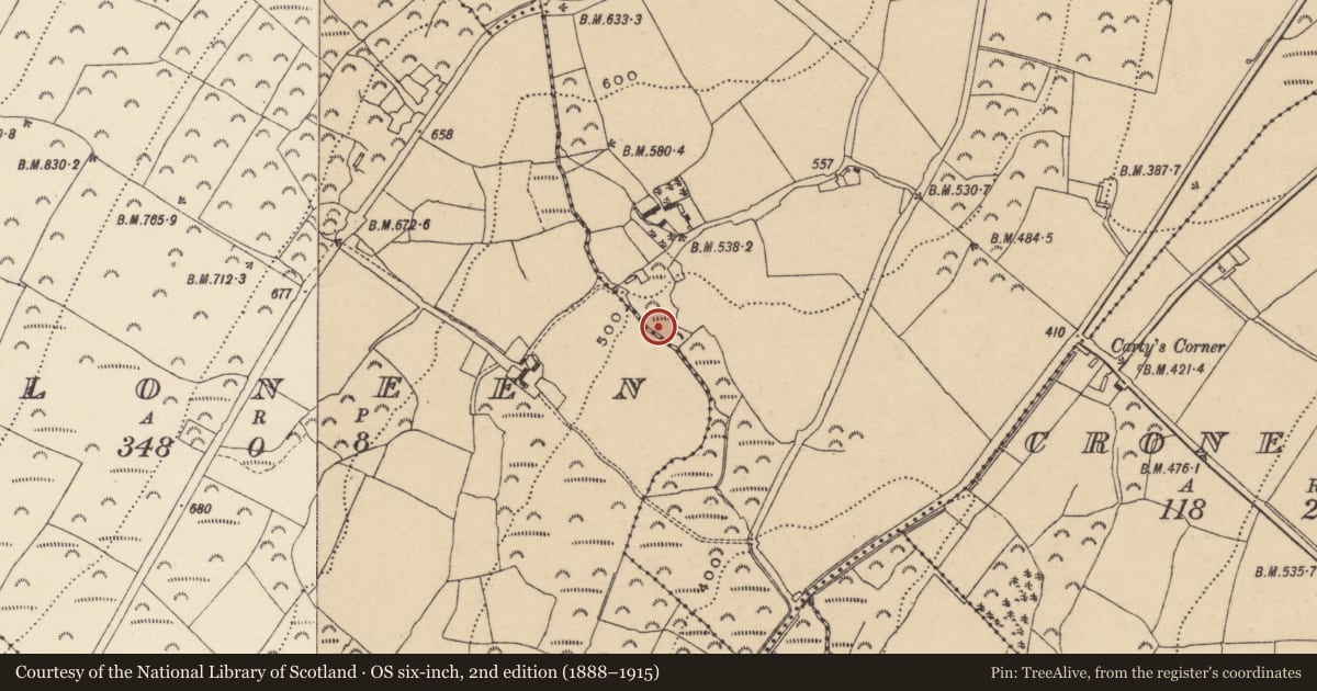Ordnance Survey six-inch map, 2nd edition (1888–1915) covering the location of Rock art, Mongnacool Lower, County Wicklow, with a pin at the register's coordinates