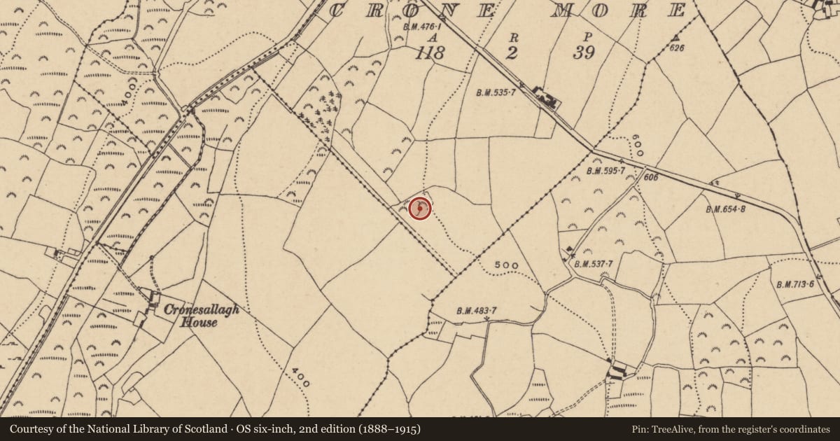 Ordnance Survey six-inch map, 2nd edition (1888–1915) covering the location of Enclosure, Crone More, County Wicklow, with a pin at the register's coordinates