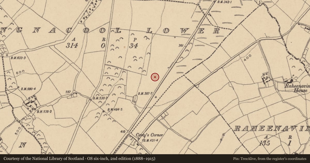 Ordnance Survey six-inch map, 2nd edition (1888–1915) covering the location of Enclosure, Mongnacool Lower, County Wicklow, with a pin at the register's coordinates