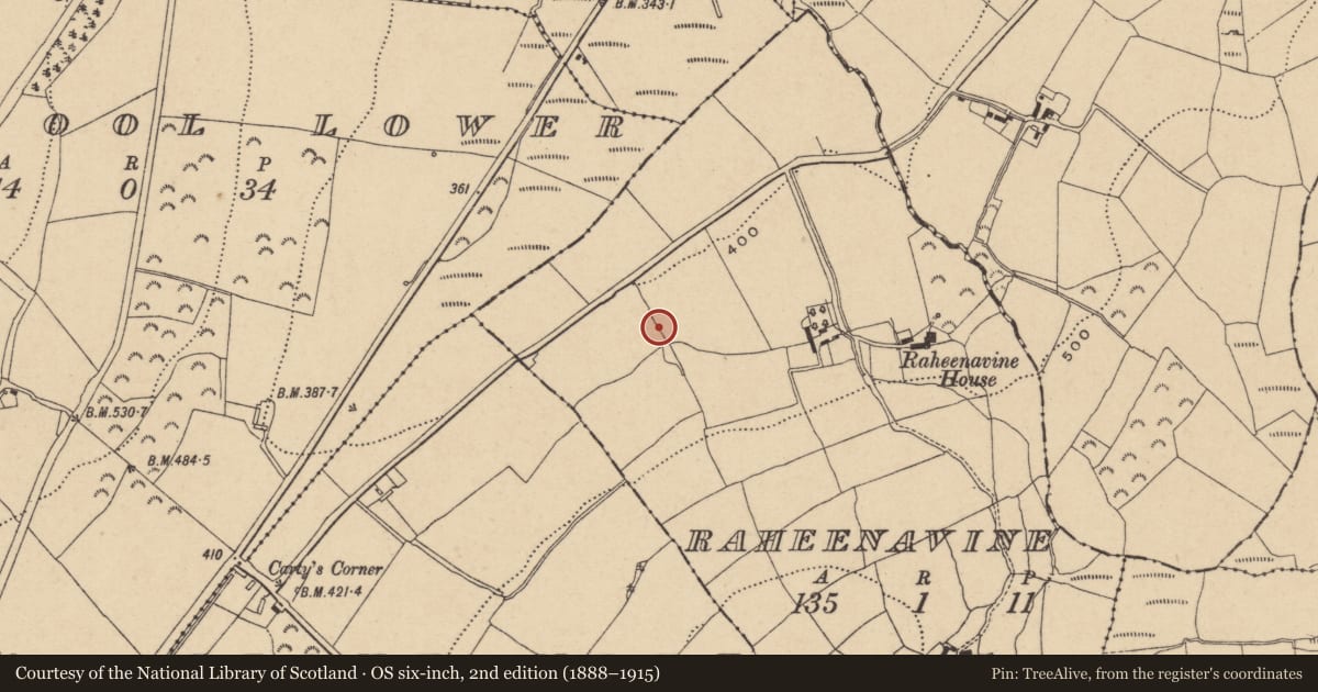 Ordnance Survey six-inch map, 2nd edition (1888–1915) covering the location of Enclosure, Raheenavine, County Wicklow, with a pin at the register's coordinates
