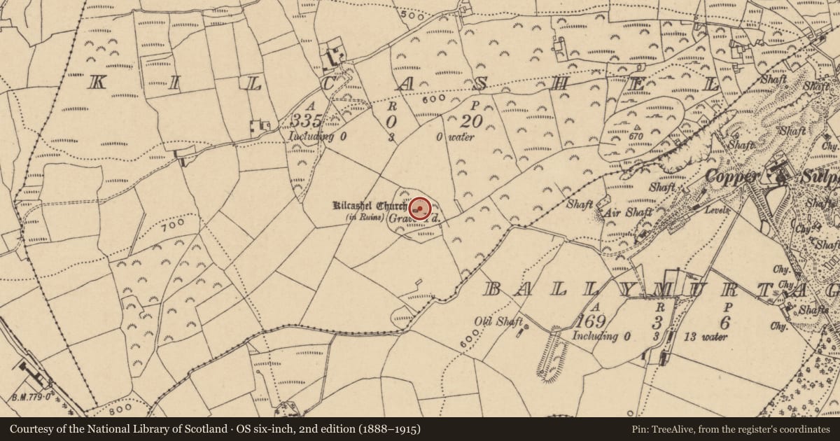 Ordnance Survey six-inch map, 2nd edition (1888–1915) covering the location of Church, Kilcashel, County Wicklow, with a pin at the register's coordinates