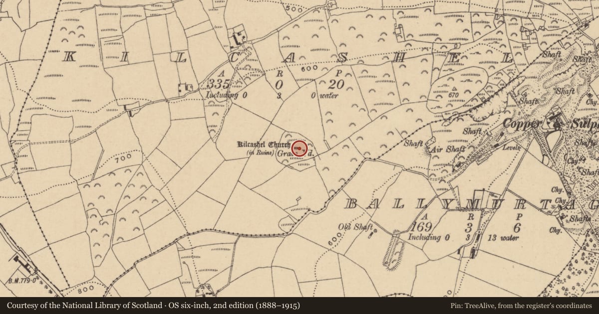 Ordnance Survey six-inch map, 2nd edition (1888–1915) covering the location of Graveyard, Kilcashel, County Wicklow, with a pin at the register's coordinates