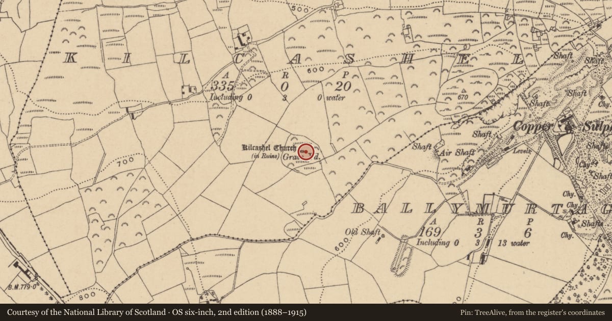 Ordnance Survey six-inch map, 2nd edition (1888–1915) covering the location of Ecclesiastical enclosure, Kilcashel, County Wicklow, with a pin at the register's coordinates