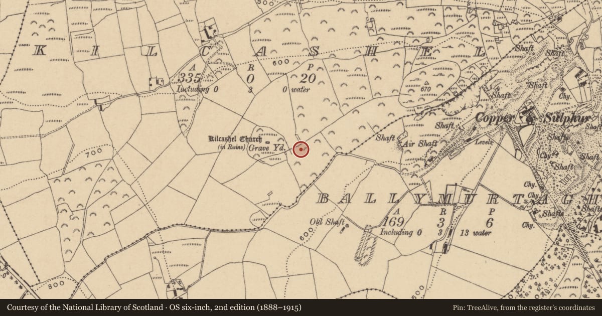 Ordnance Survey six-inch map, 2nd edition (1888–1915) covering the location of Enclosure, Kilcashel, County Wicklow, with a pin at the register's coordinates