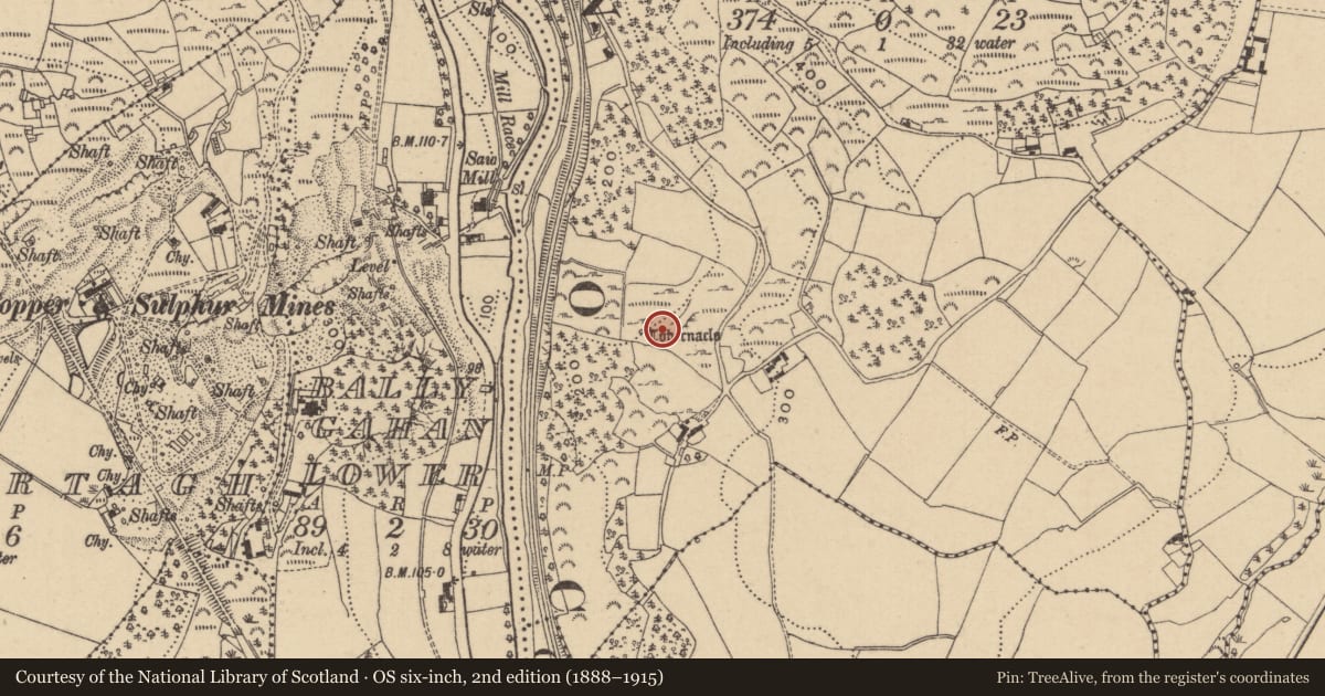Ordnance Survey six-inch map, 2nd edition (1888–1915) covering the location of Ritual site - holy well, Tigroney West, County Wicklow, with a pin at the register's coordinates
