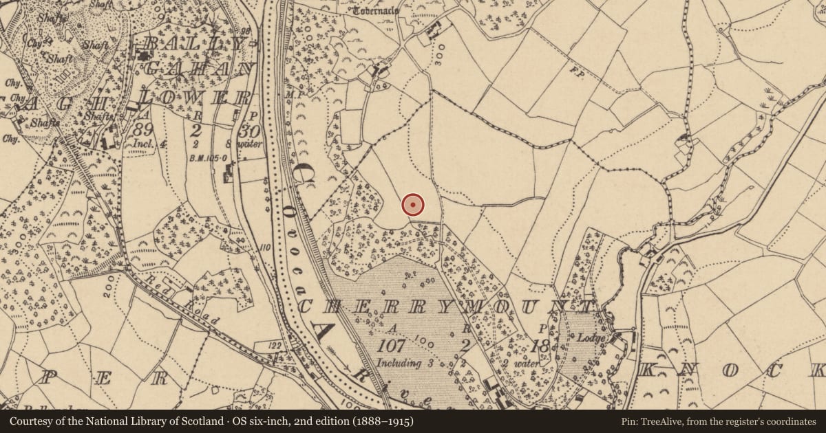 Ordnance Survey six-inch map, 2nd edition (1888–1915) covering the location of Enclosure, Cherrymount, County Wicklow, with a pin at the register's coordinates