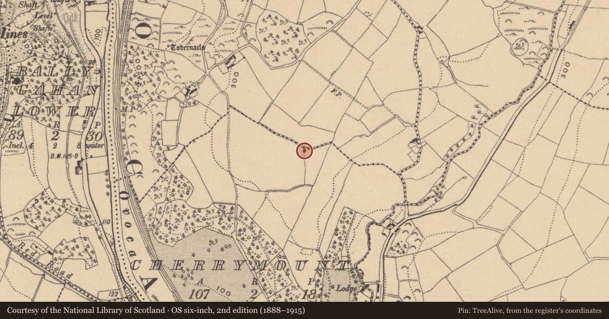 Ordnance Survey six-inch map, 2nd edition (1888–1915) covering the location of Enclosure, Cherrymount, County Wicklow, with a pin at the register's coordinates
