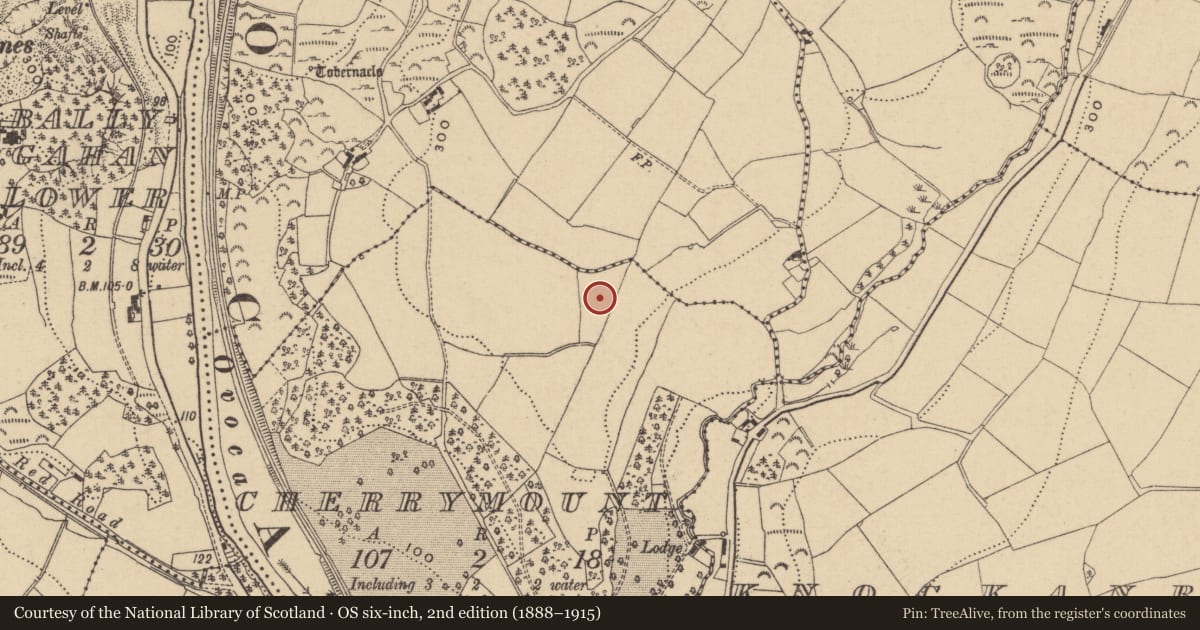 Ordnance Survey six-inch map, 2nd edition (1888–1915) covering the location of Graveyard, Cherrymount, County Wicklow, with a pin at the register's coordinates