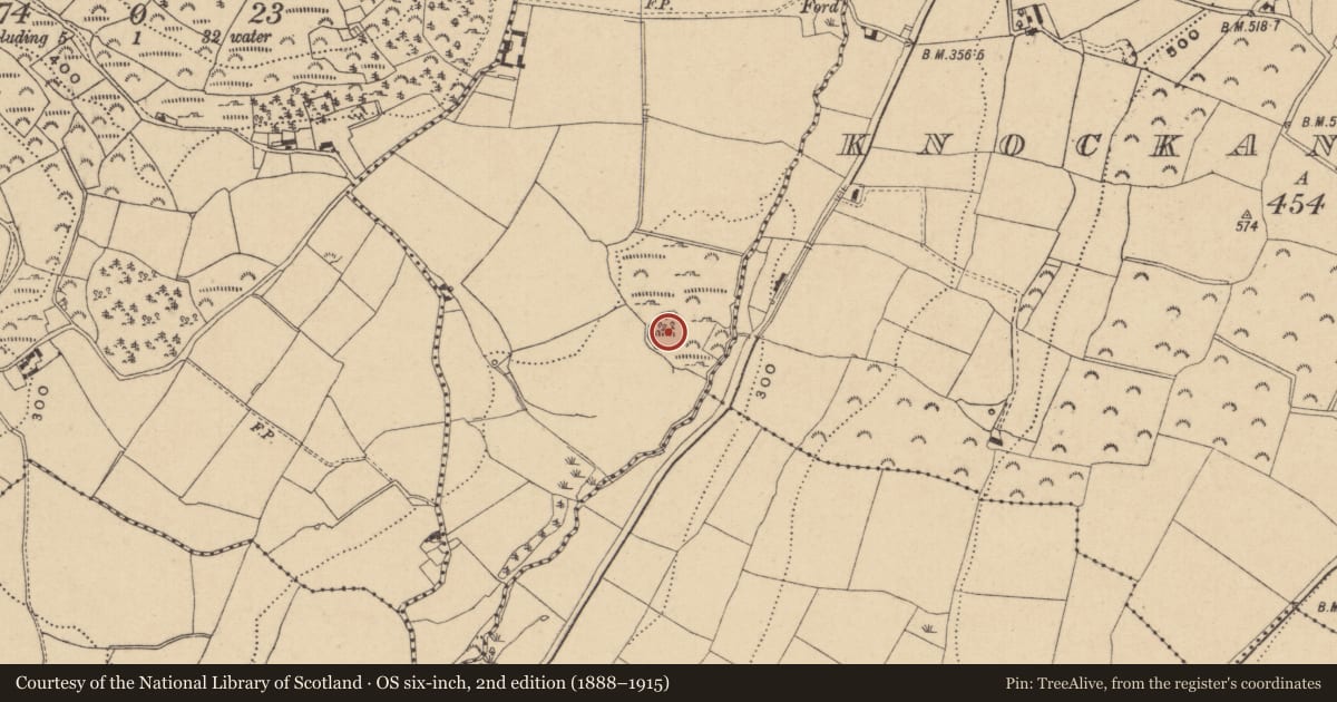 Ordnance Survey six-inch map, 2nd edition (1888–1915) covering the location of Ringfort - rath, Tigroney East, County Wicklow, with a pin at the register's coordinates
