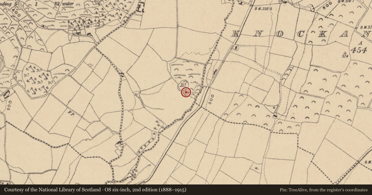 Ordnance Survey six-inch map, 2nd edition (1888–1915) covering the location of Enclosure, Tigroney East, County Wicklow, with a pin at the register's coordinates