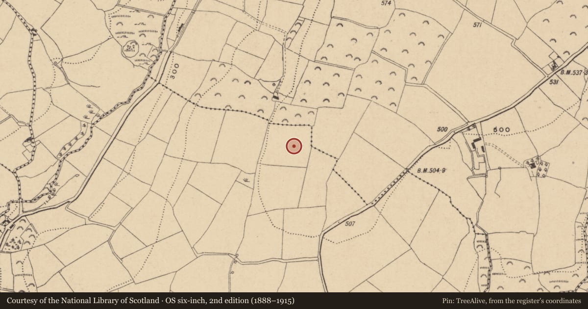 Ordnance Survey six-inch map, 2nd edition (1888–1915) covering the location of Enclosure, Knockanree Lower, County Wicklow, with a pin at the register's coordinates
