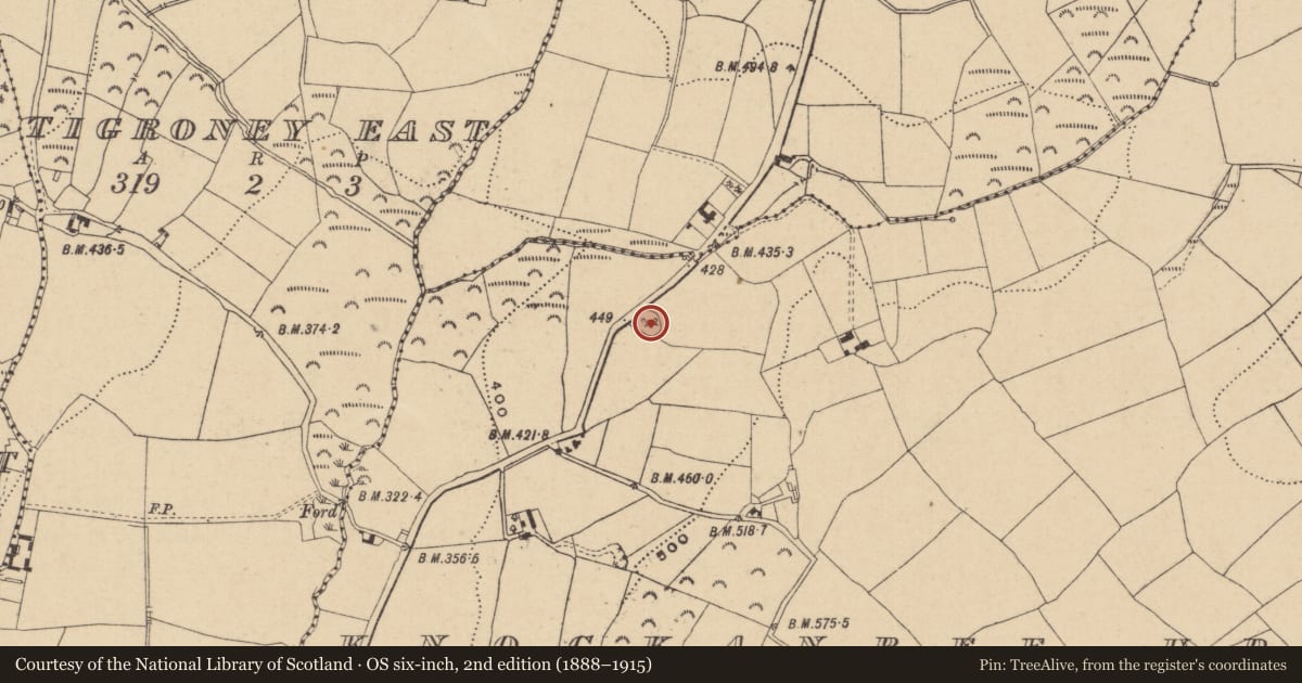 Ordnance Survey six-inch map, 2nd edition (1888–1915) covering the location of Ringfort - rath, Knockanree Upper, County Wicklow, with a pin at the register's coordinates