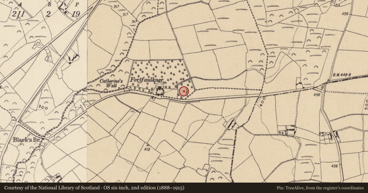 Ordnance Survey six-inch map, 2nd edition (1888–1915) covering the location of Ringfort - rath, Cronesallagh, County Wicklow, with a pin at the register's coordinates