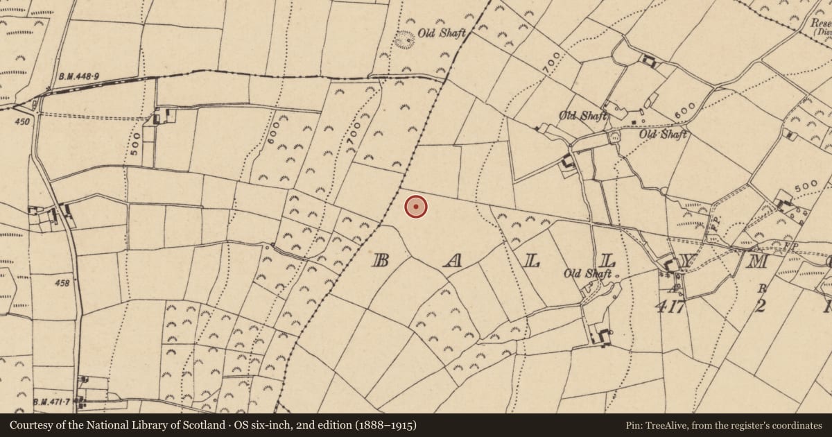 Ordnance Survey six-inch map, 2nd edition (1888–1915) covering the location of Enclosure, Ballymoneen, County Wicklow, with a pin at the register's coordinates