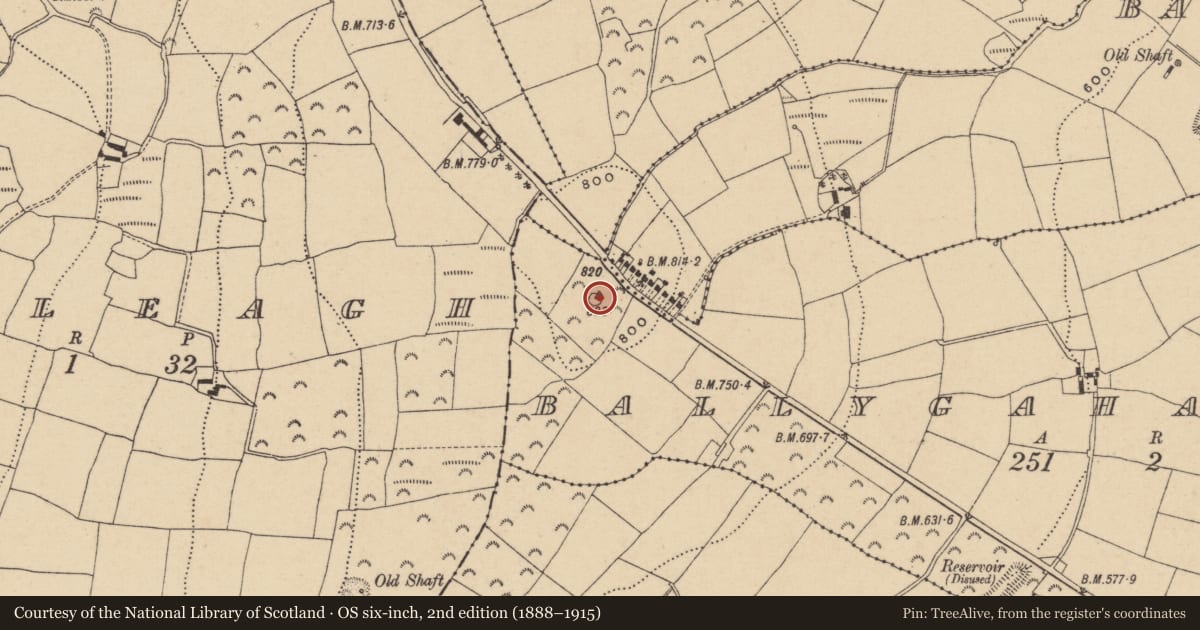 Ordnance Survey six-inch map, 2nd edition (1888–1915) covering the location of Barrow - ring-barrow, Ballygahan Upper, County Wicklow, with a pin at the register's coordinates