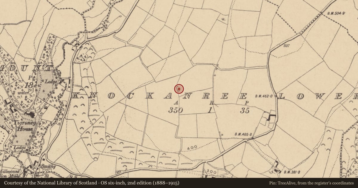 Ordnance Survey six-inch map, 2nd edition (1888–1915) covering the location of Cist, Knockanree Lower, County Wicklow, with a pin at the register's coordinates