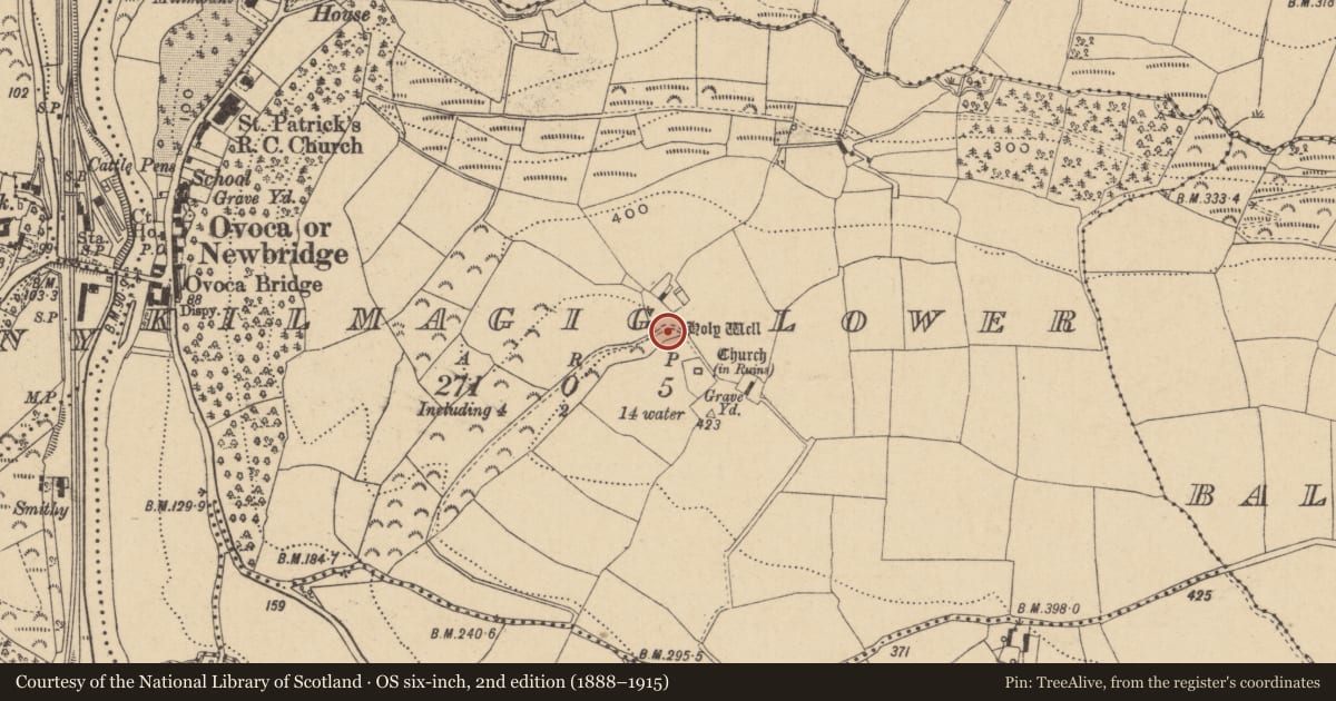 Ordnance Survey six-inch map, 2nd edition (1888–1915) covering the location of Ritual site - holy well, Kilmagig Lower, County Wicklow, with a pin at the register's coordinates