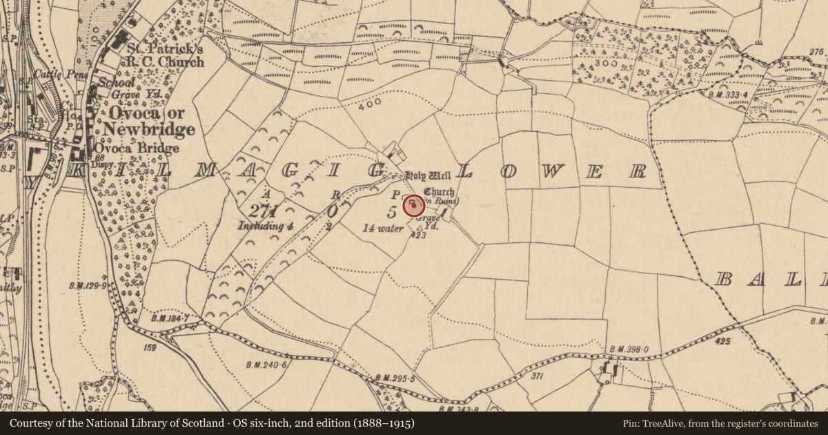 Ordnance Survey six-inch map, 2nd edition (1888–1915) covering the location of Graveyard, Kilmagig Lower, County Wicklow, with a pin at the register's coordinates