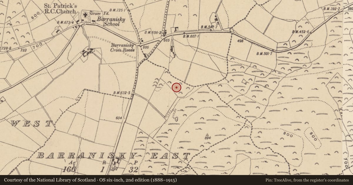 Ordnance Survey six-inch map, 2nd edition (1888–1915) covering the location of Ringfort - rath, Barranisky East, County Wicklow, with a pin at the register's coordinates