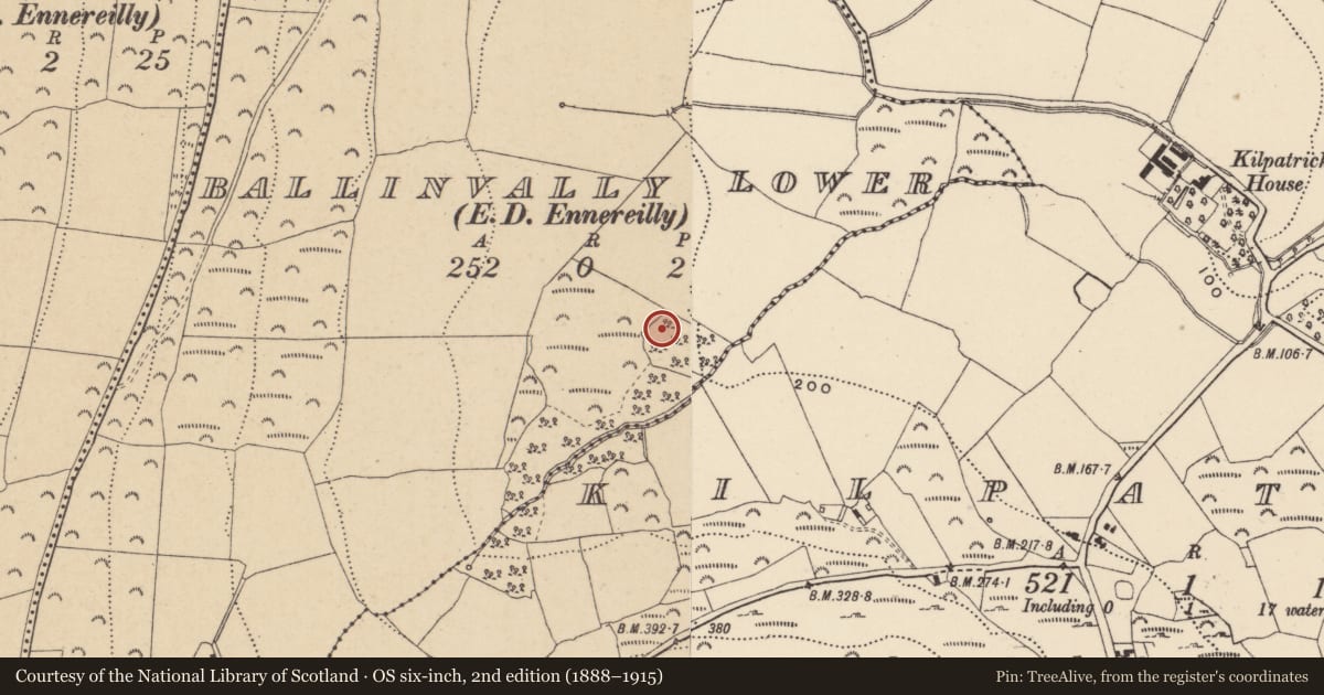 Ordnance Survey six-inch map, 2nd edition (1888–1915) covering the location of Enclosure, Ballinvally Lower, County Wicklow, with a pin at the register's coordinates