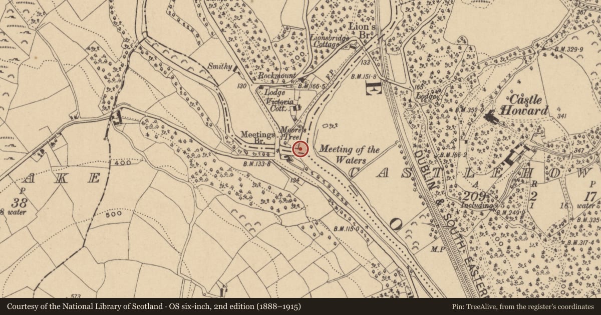 Ordnance Survey six-inch map, 2nd edition (1888–1915) covering the location of Bullaun stone, Meetings, County Wicklow, with a pin at the register's coordinates