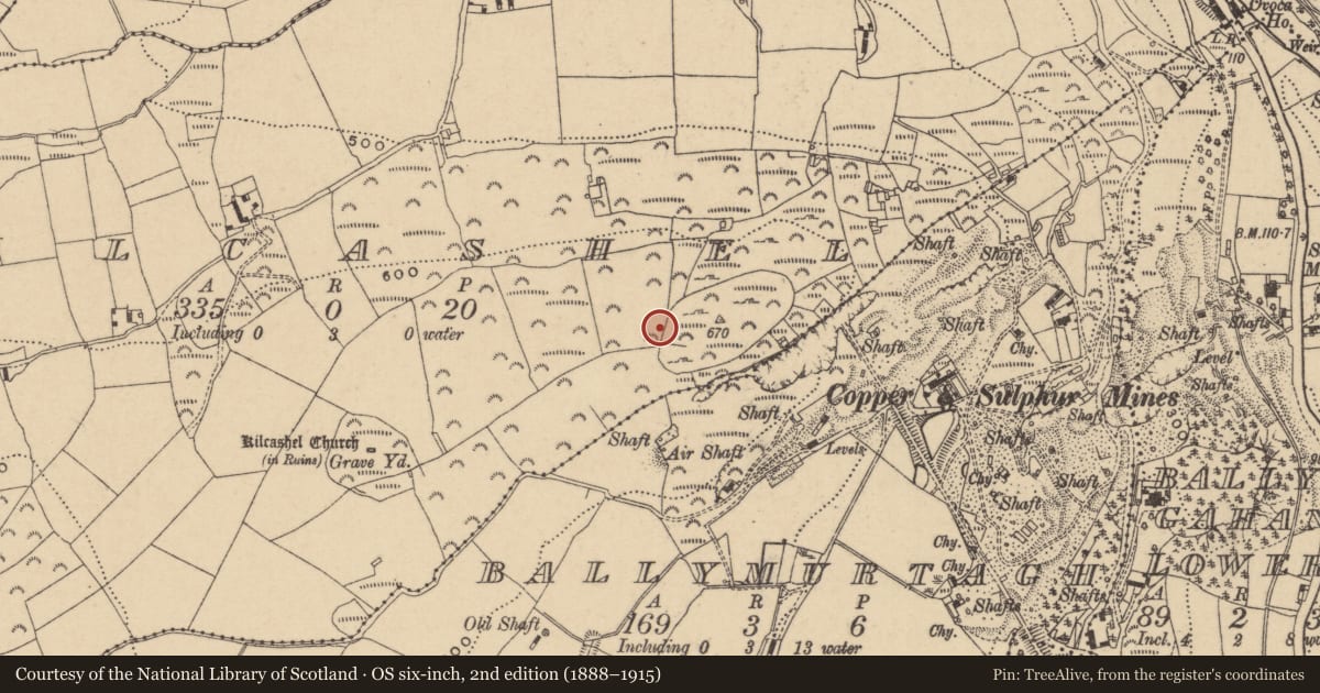 Ordnance Survey six-inch map, 2nd edition (1888–1915) covering the location of Mound, Kilcashel, County Wicklow, with a pin at the register's coordinates
