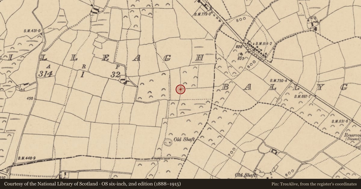 Ordnance Survey six-inch map, 2nd edition (1888–1915) covering the location of Rock art, Killeagh, County Wicklow, with a pin at the register's coordinates