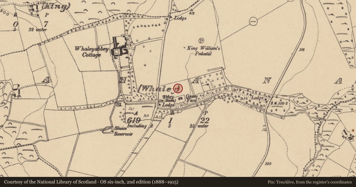Ordnance Survey six-inch map, 2nd edition (1888–1915) covering the location of Bullaun stone, Bahana (Whaley), County Wicklow, with a pin at the register's coordinates