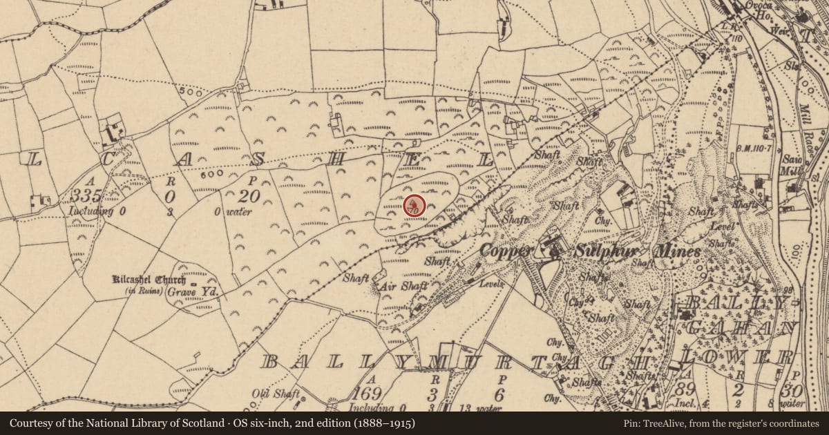 Ordnance Survey six-inch map, 2nd edition (1888–1915) covering the location of Hillfort, Kilcashel, County Wicklow, with a pin at the register's coordinates