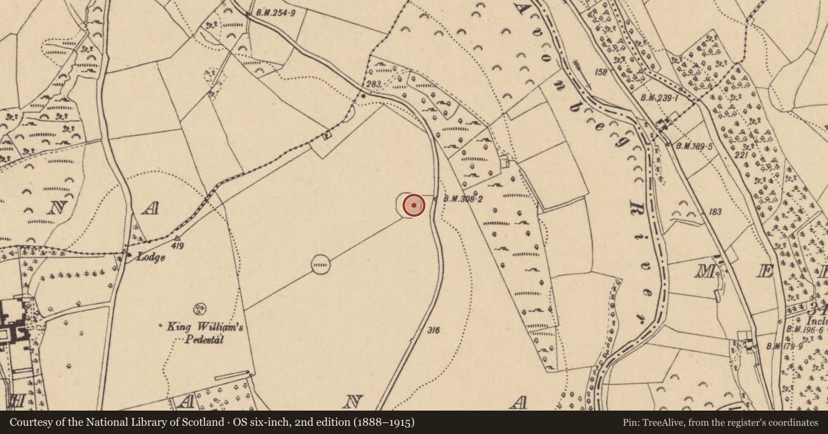 Ordnance Survey six-inch map, 2nd edition (1888–1915) covering the location of Enclosure, Bahana (Whaley), County Wicklow, with a pin at the register's coordinates