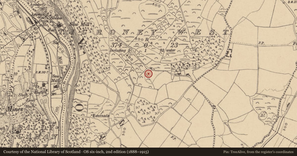Ordnance Survey six-inch map, 2nd edition (1888–1915) covering the location of Mound, Tigroney West, County Wicklow, with a pin at the register's coordinates