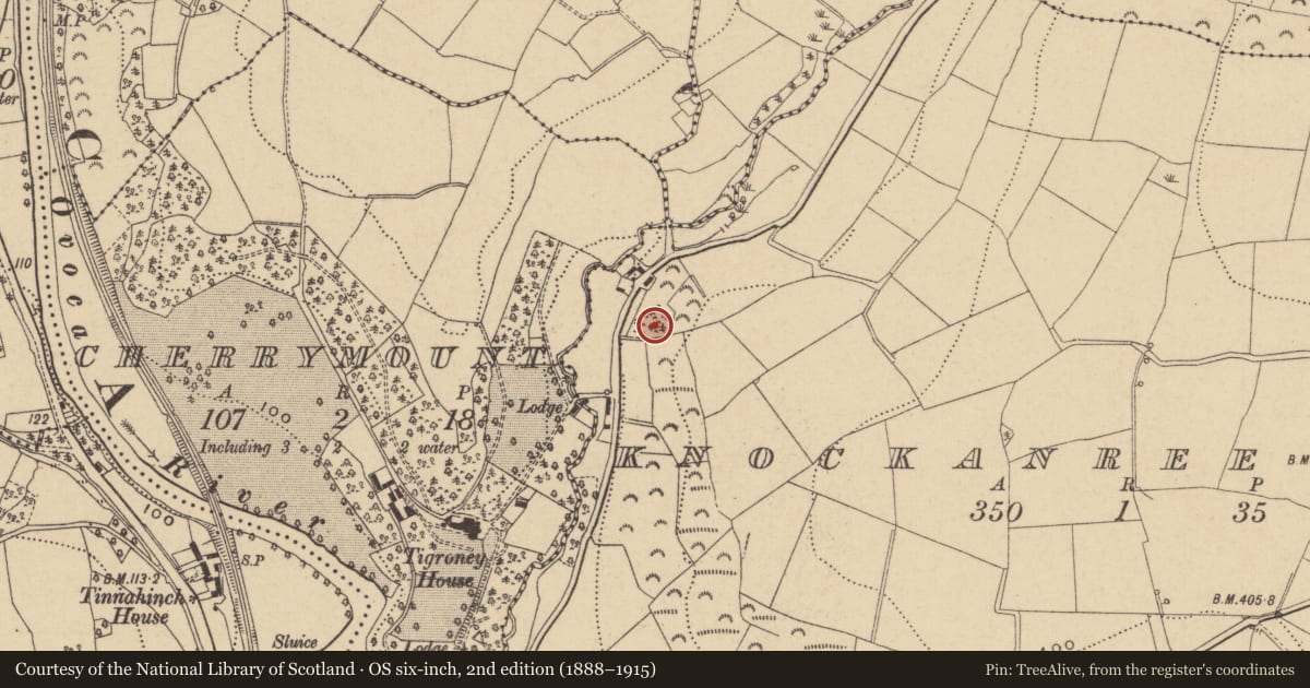 Ordnance Survey six-inch map, 2nd edition (1888–1915) covering the location of Standing stone, Knockanree Upper, County Wicklow, with a pin at the register's coordinates