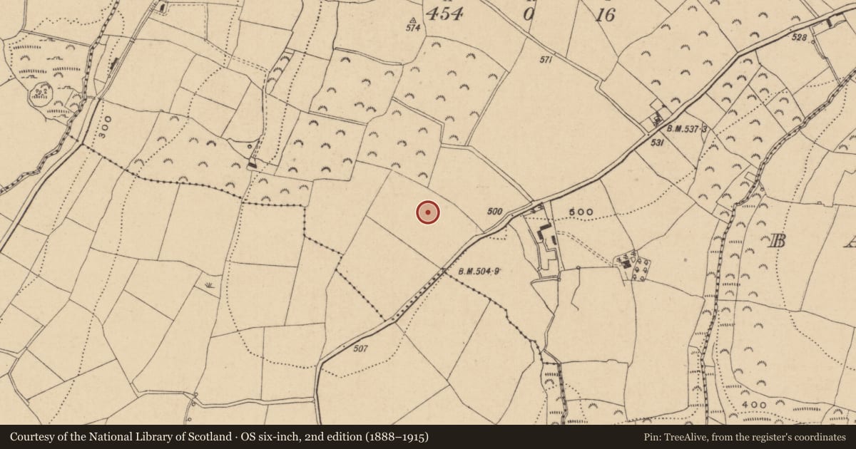 Ordnance Survey six-inch map, 2nd edition (1888–1915) covering the location of Enclosure, Knockanree Upper, County Wicklow, with a pin at the register's coordinates