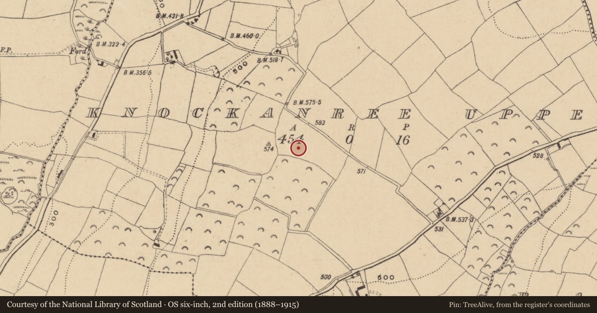 Ordnance Survey six-inch map, 2nd edition (1888–1915) covering the location of Enclosure, Knockanree Upper, County Wicklow, with a pin at the register's coordinates