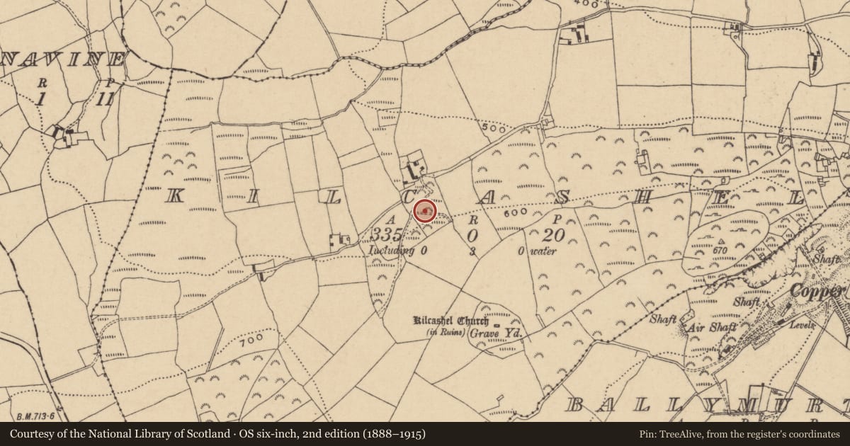 Ordnance Survey six-inch map, 2nd edition (1888–1915) covering the location of Anomalous stone group, Kilcashel, County Wicklow, with a pin at the register's coordinates