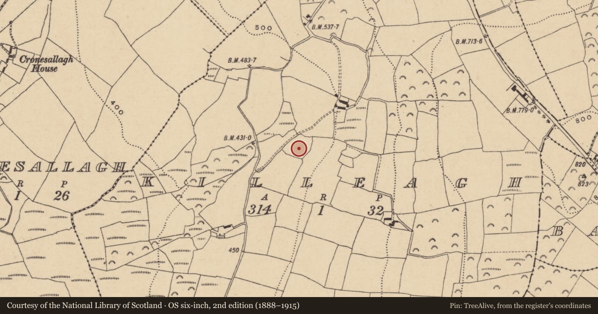 Ordnance Survey six-inch map, 2nd edition (1888–1915) covering the location of Burial ground, Killeagh, County Wicklow, with a pin at the register's coordinates
