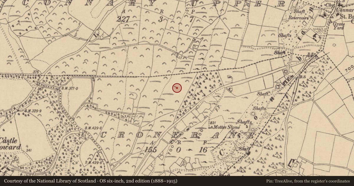 Ordnance Survey six-inch map, 2nd edition (1888–1915) covering the location of Standing stone, Cronebane, County Wicklow, with a pin at the register's coordinates