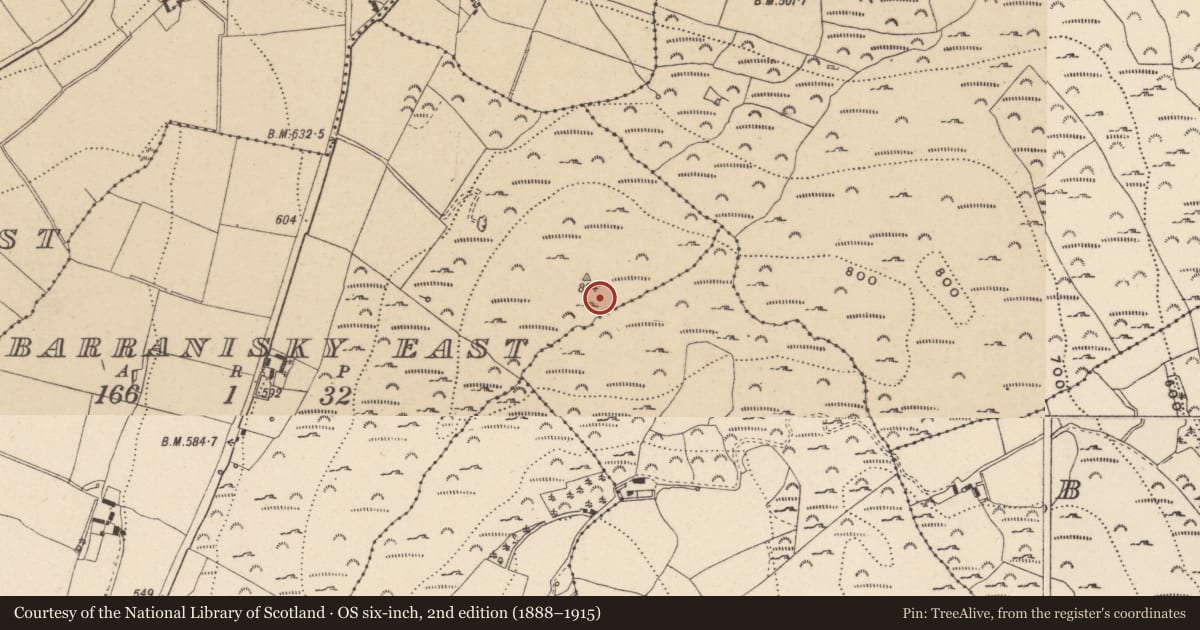 Ordnance Survey six-inch map, 2nd edition (1888–1915) covering the location of Cairn - burial cairn, Barranisky East, County Wicklow, with a pin at the register's coordinates