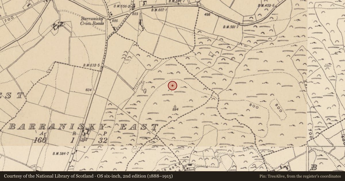 Ordnance Survey six-inch map, 2nd edition (1888–1915) covering the location of Hilltop enclosure, Barranisky East, County Wicklow, with a pin at the register's coordinates