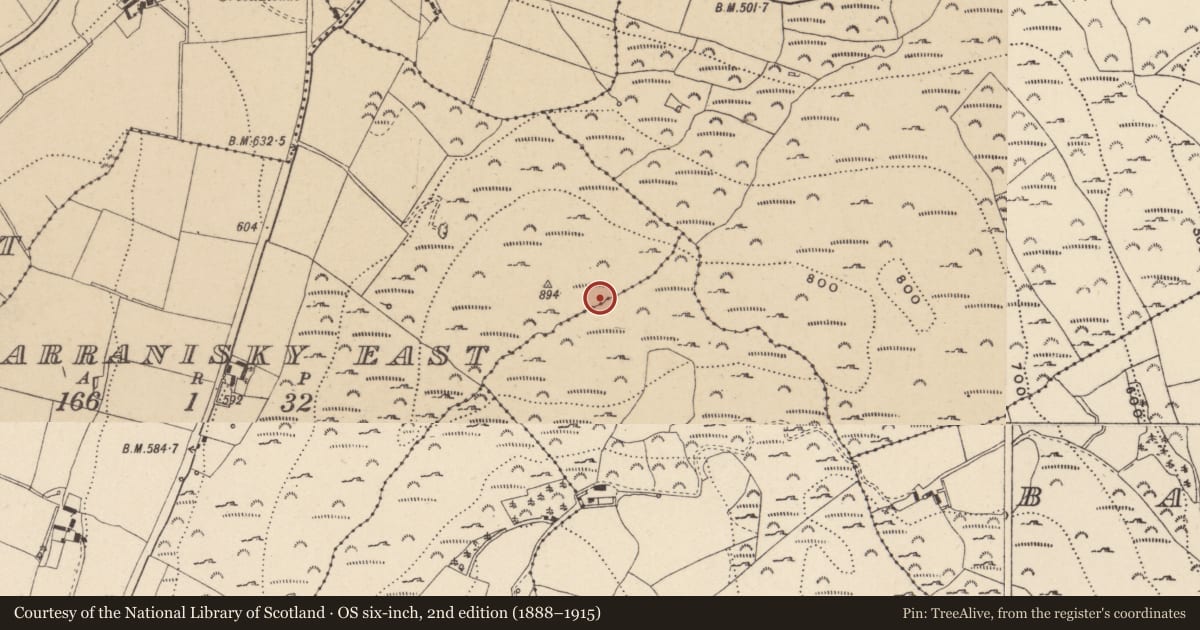 Ordnance Survey six-inch map, 2nd edition (1888–1915) covering the location of Field boundary, Barranisky East, Glenteige, County Wicklow, with a pin at the register's coordinates