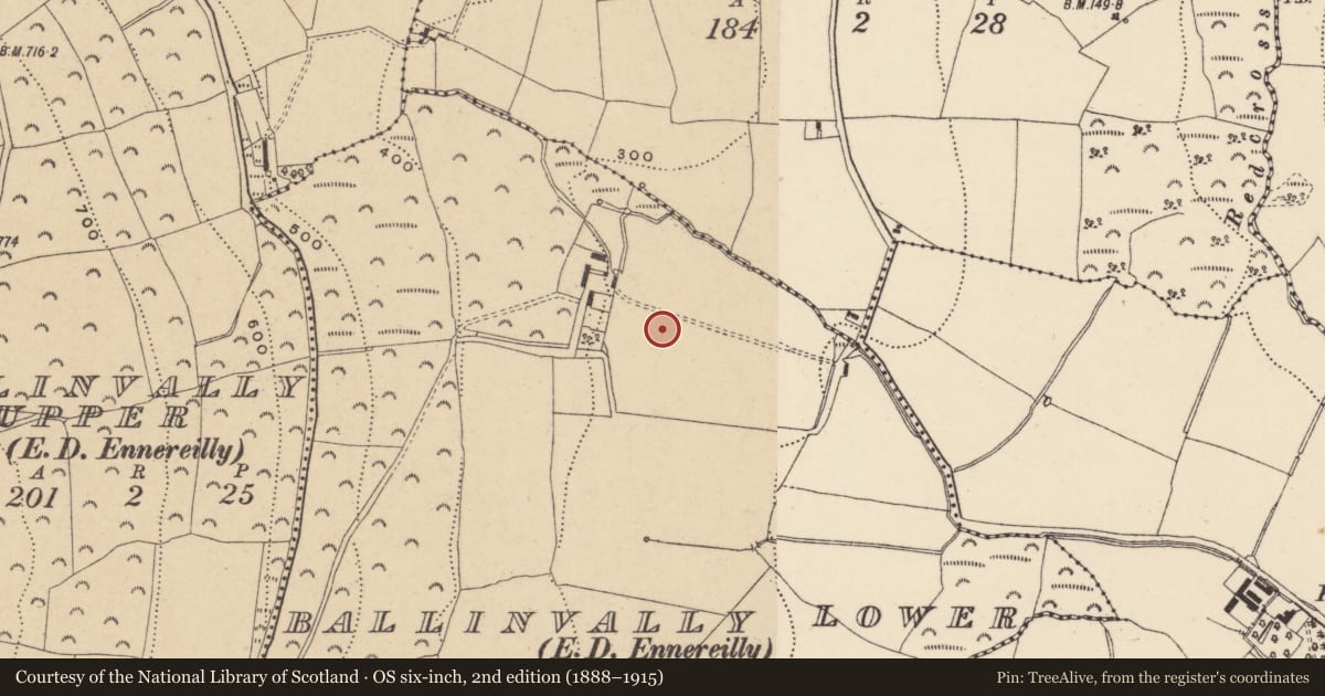 Ordnance Survey six-inch map, 2nd edition (1888–1915) covering the location of Enclosure, Ballinvally Lower, County Wicklow, with a pin at the register's coordinates